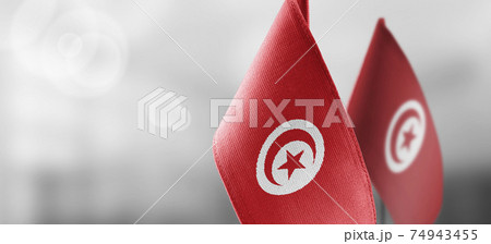 Small national flags of the Tunisia on a light blurry background Small national flags of the Tunisia on a light blurry background 74943455