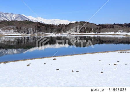 春待つ青木湖と白馬連峰 74943823