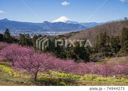 おおいゆめの里 神奈川県足柄上郡大井町の写真素材