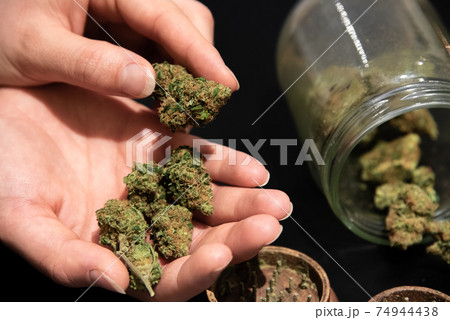 Cannabis buds in a hand and other smoking utensils on a table 74944438