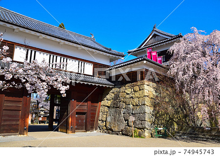 桜景 上田城 桜景 上田城 74945743
