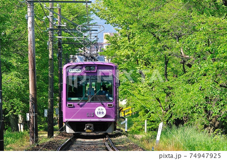 鉄道 列車 春 爛漫 京福 嵐電 ランデン 新緑 初夏 薫風 鉄道 列車 春 爛漫 京福 嵐電 ランデン 新緑 初夏 薫風 74947925