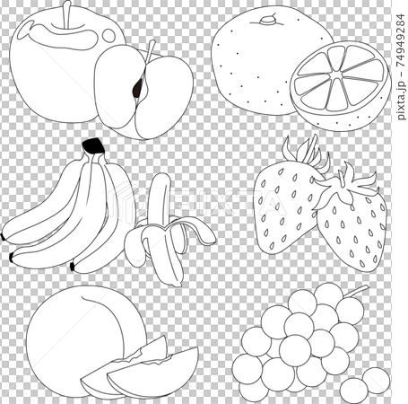 水果的簡單圖解（線條藝術） 74949284