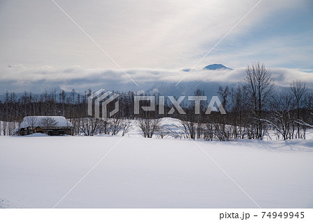 雪雲かかる十勝連峰の麓から 雪雲かかる十勝連峰の麓から 74949945