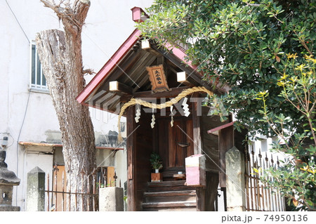 大阪市東成区の比売許曽神社 74950136