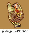 Maroon hen Maroon hen 74950682