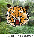 Tiger roaring on jungle background Tiger roaring on jungle background 74950697