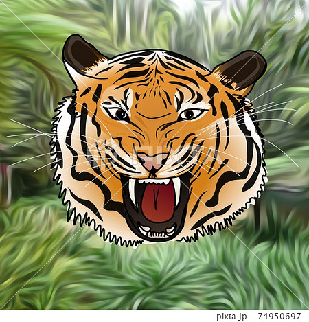 Tiger roaring on jungle background  74950697