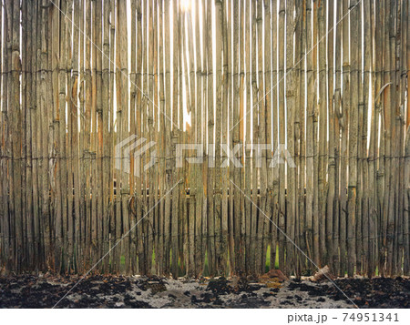 Weathered old garden reed fence 74951341