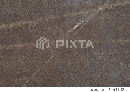 High resolution texture. Background. Skin. 74951424