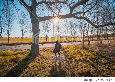 Happy young woman on a swing with sunset background 74951437