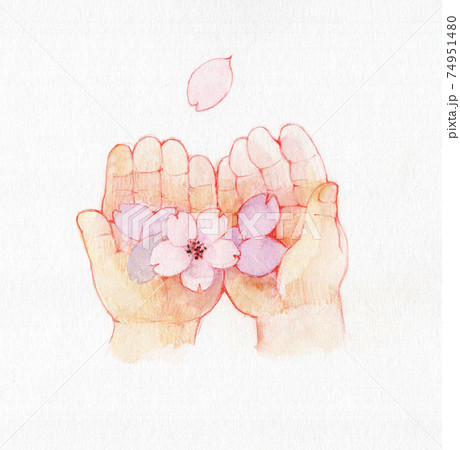 手に桜のイラスト素材 [74951480] - PIXTA