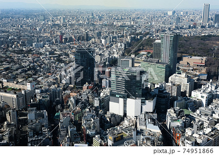 東京都 都心の街並み 渋谷スクランブルスクエア展望台からの眺望 東京都 都心の街並み 渋谷スクランブルスクエア展望台からの眺望 74951866