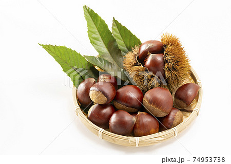 白バックで葉を添えたいが付きの栗 74953738