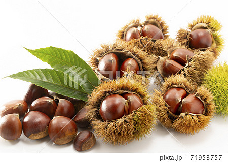白バックで葉を添えたいが付きの栗 74953757