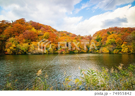 世界遺産白神山地の秋　紅葉の十二湖　落口の池 74955842
