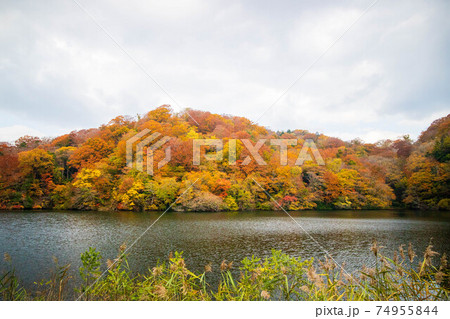 世界遺産白神山地の秋　紅葉の十二湖　落口の池 74955844
