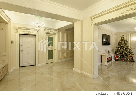 Modern luxury apartment interior with living room and entrance hall Modern luxury apartment interior with living room and entrance hall 74956952