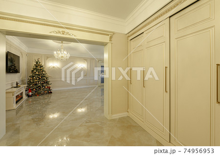 Modern luxury apartment interior with living room and entrance hall 74956953