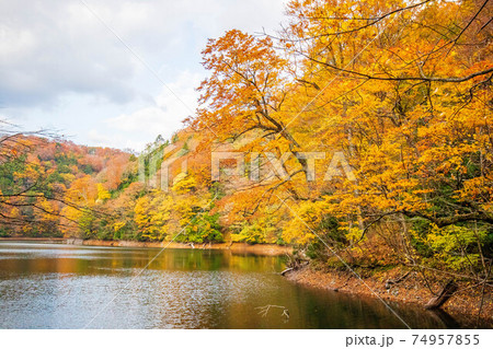 世界遺産白神山地の秋 紅葉の十二湖 鶏頭場の池の写真素材