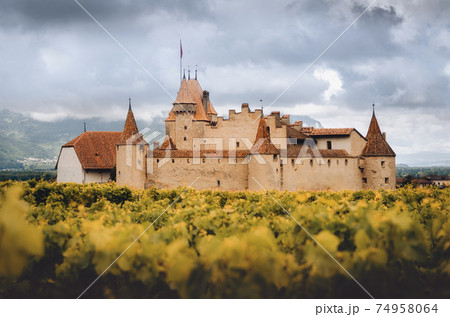 Castle of Aigle and vineyards landscape in swiss alps, Vaud (Switzerland) 74958064