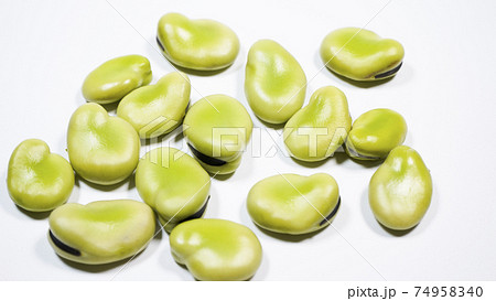 そら豆　白背景 74958340