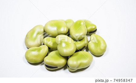 そら豆　白背景 74958347