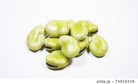 そら豆　白背景 74958348