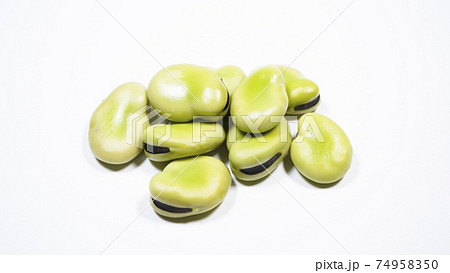 そら豆 白背景 そら豆 白背景 74958350
