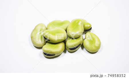 そら豆　白背景 74958352
