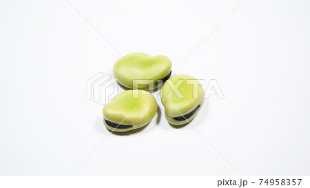 そら豆　白背景 74958357