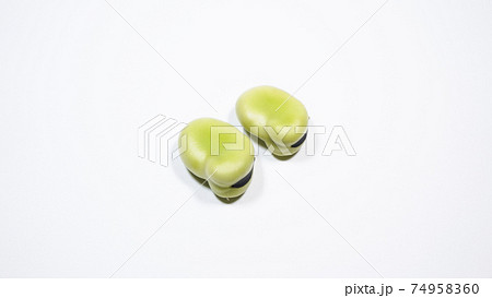 そら豆 白背景 そら豆 白背景 74958360