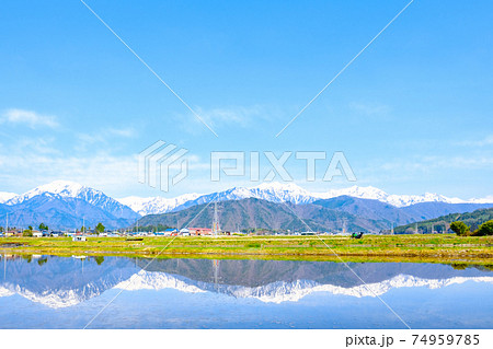 ツーリング（春）：安曇野の水田と北アルプス 74959785