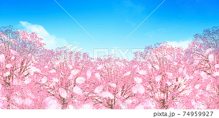 桜 春 風景 背景のイラスト素材