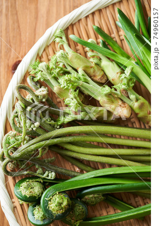 ザルに盛られた山菜 74960157