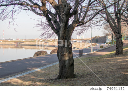 宮城ゆうゆう公園/東京都足立区宮城 宮城ゆうゆう公園/東京都足立区宮城 74961152