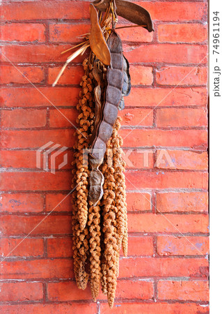 台湾 建築 構築 74961194