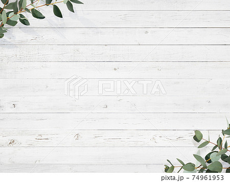 白い木製の壁とユーカリの葉で構成された爽やかな背景 - 複数のバリエーションがあります 白い木製の壁とユーカリの葉で構成された爽やかな背景 - 複数のバリエーションがあります 74961953