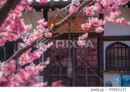 長徳寺 出町 長徳寺 出町 74962137