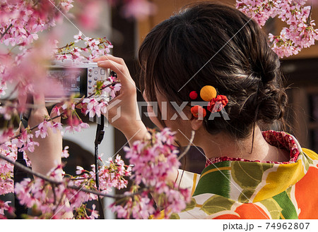 おかめ桜 74962807