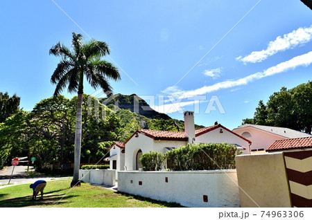 ハワイの休日 ハワイの休日 74963306
