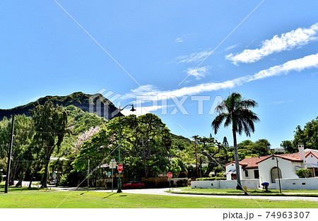 ハワイの休日 74963307