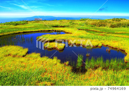 日本百名山　　夏の月山八合目弥陀ヶ原　池塘 74964169