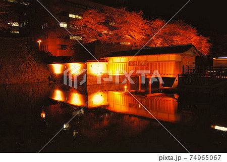 福井県庁、お堀さくらの季節ー春 福井県庁、お堀さくらの季節ー春 74965067