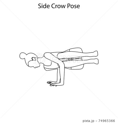 Side crow pose yoga workout outline. Healthy lifestyle vector illustration 74965366