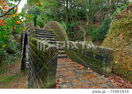 台湾 秋 あき 74965839