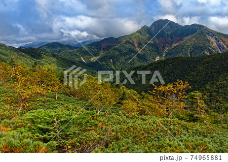 初秋の三伏山から見る南アルプス・塩見岳 初秋の三伏山から見る南アルプス・塩見岳 74965881