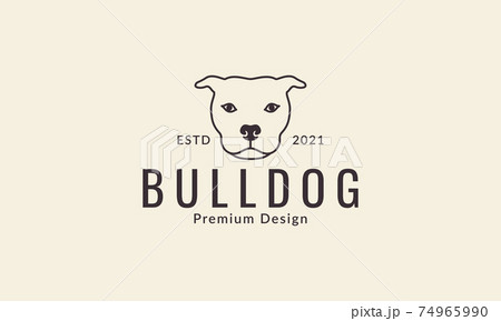 animal pets dog American Pit Bull Terrier head lines logo design vector icon symbol graphic illustration animal pets dog American Pit Bull Terrier head lines logo design vector icon symbol graphic illustration 74965990
