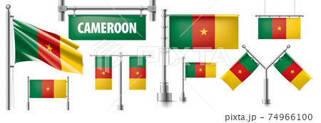 Vector set of the national flag of Cameroon in various creative designs 74966100