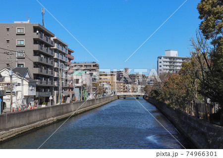 藤江橋から見た新田間川(神奈川県横浜市西区) 藤江橋から見た新田間川(神奈川県横浜市西区) 74966301